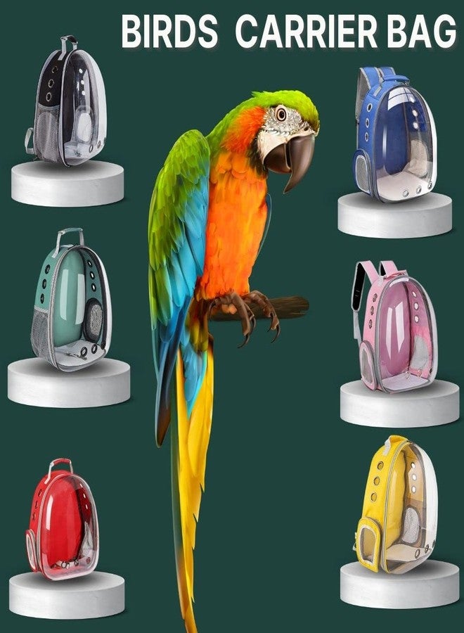 سايج سكوير حقيبة ظهر لحمل الطيور من سيج سكوير، حقيبة ظهر صغيرة لحمل الطيور الصغيرة والمتوسطة، حقيبة ظهر شفافة جيدة التهوية لحمل الحيوانات الأليفة والطيور أثناء المشي لمسافات طويلة (عشوائي) - Image 4